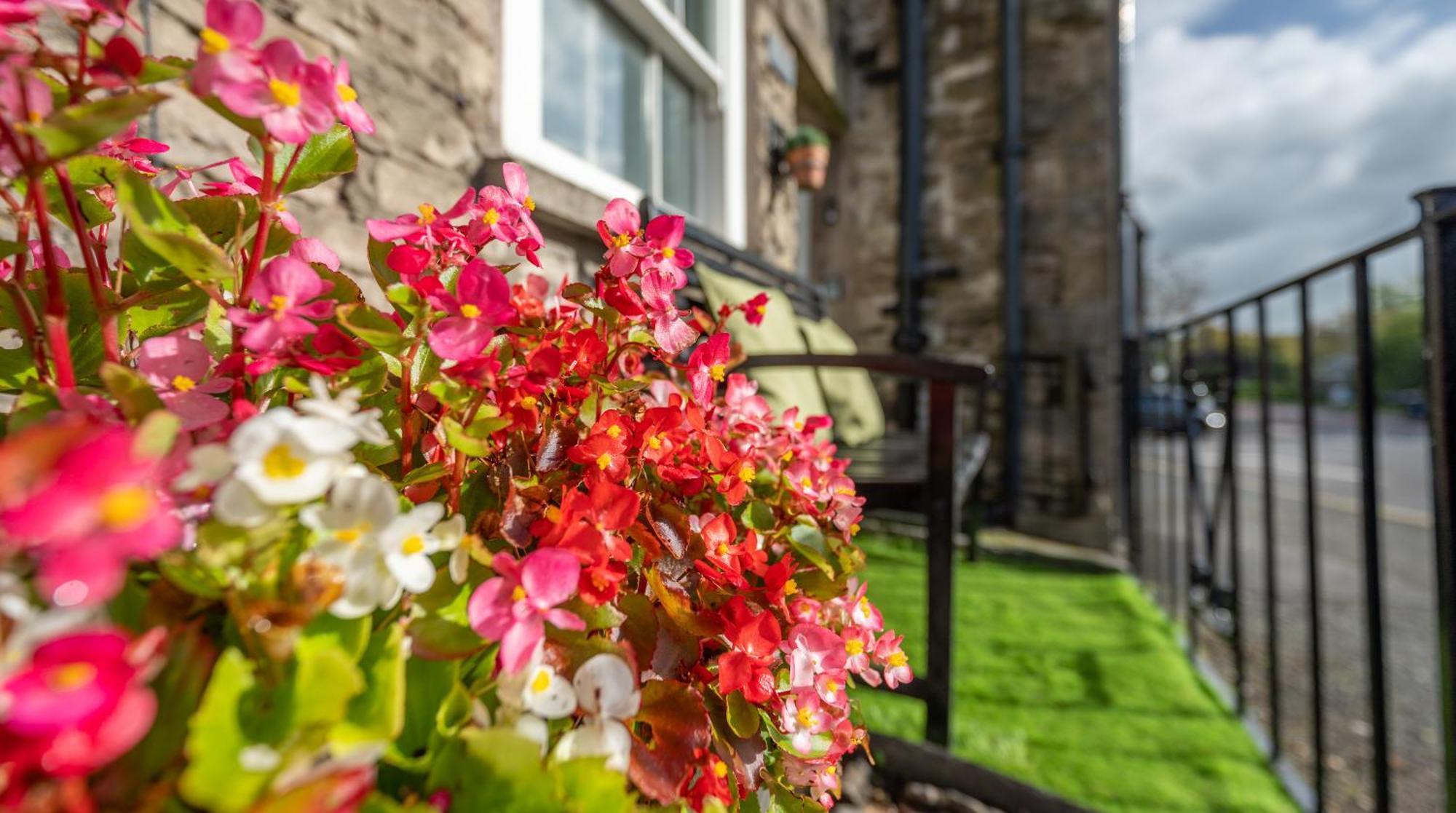 Wee Toad Hole Heart Of Kendal - Cottage Sleeps 4-6 - Dogs Welcome מראה חיצוני תמונה